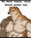 leanbeefpatty Altpins Profile Picture
