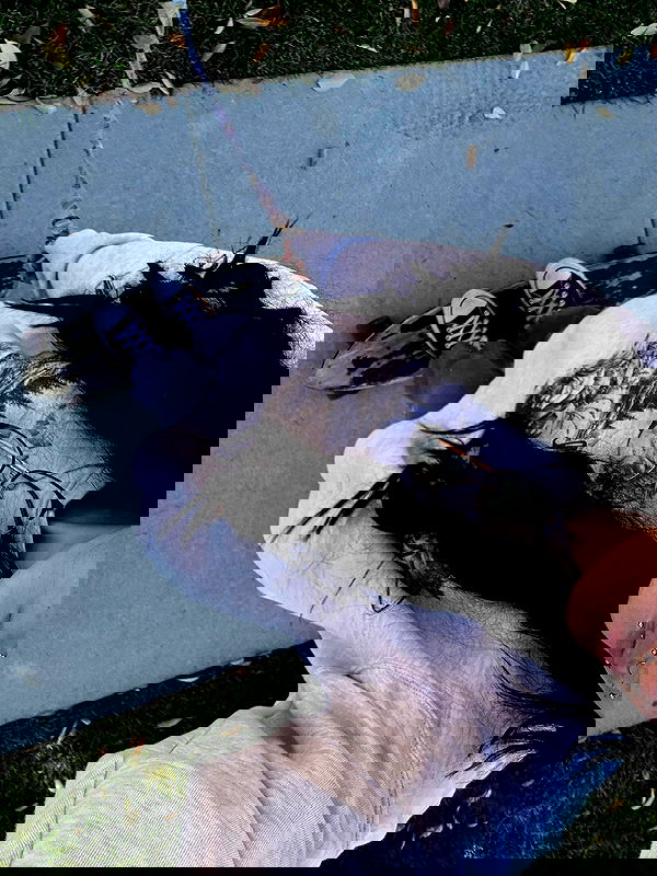 _animechika_ image ~ Altpins