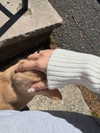 v.qx Altpins Profile Picture