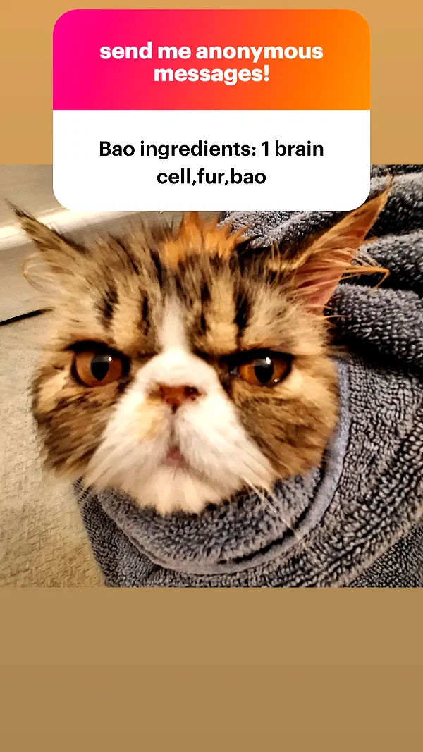 mirekyarahire instagram image archive image