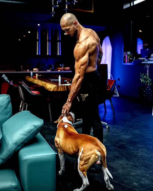 tateauraa tateauraa archive image