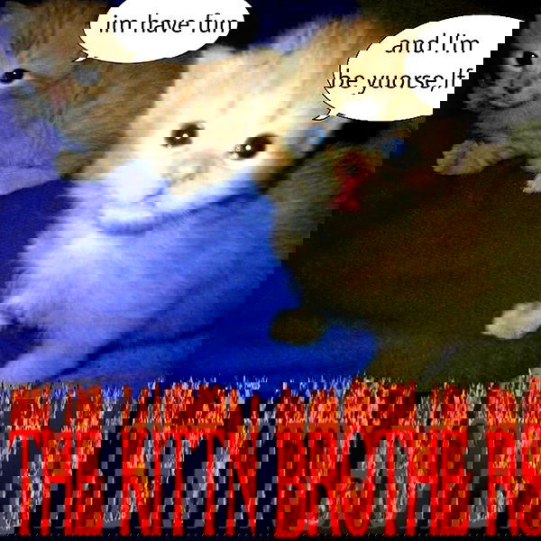 missnyxdawn missnyxdawn archive image