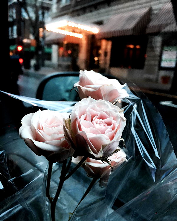 hallucineon instagram image archive image