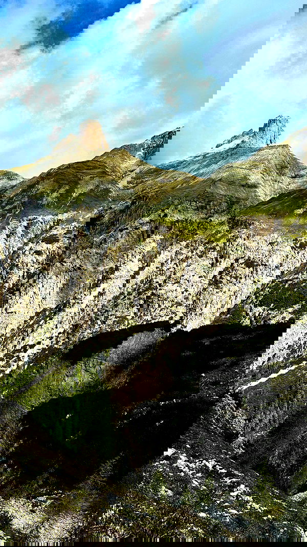 taylor.creeden taylor.creeden archive image