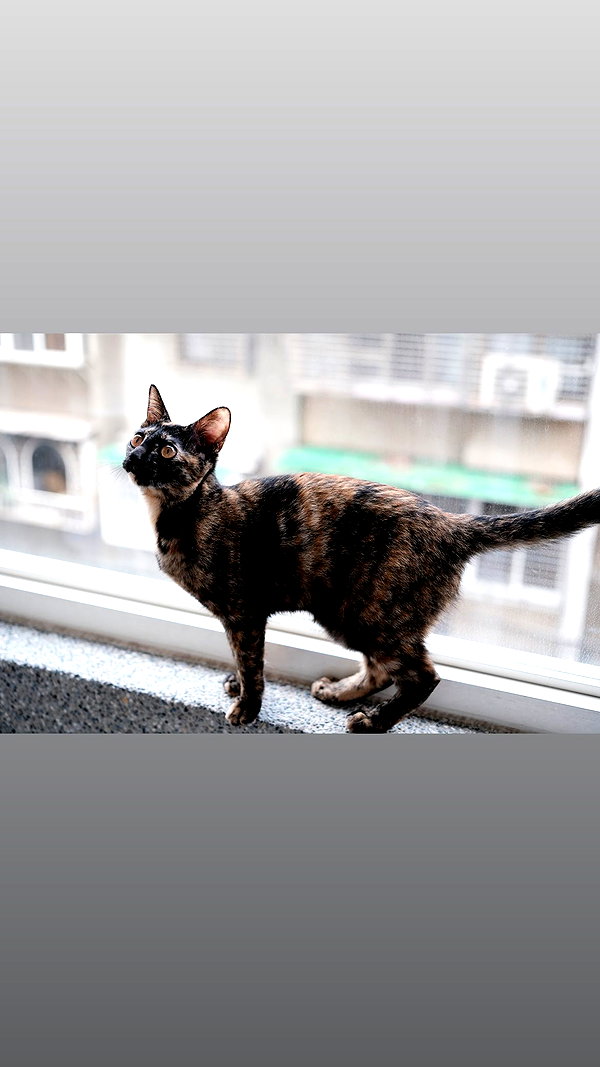 jiw_____n instagram image archive image