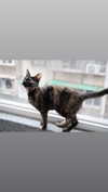 jiw_____n Altpins Profile Picture
