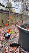 newpoort Altpins Profile Picture