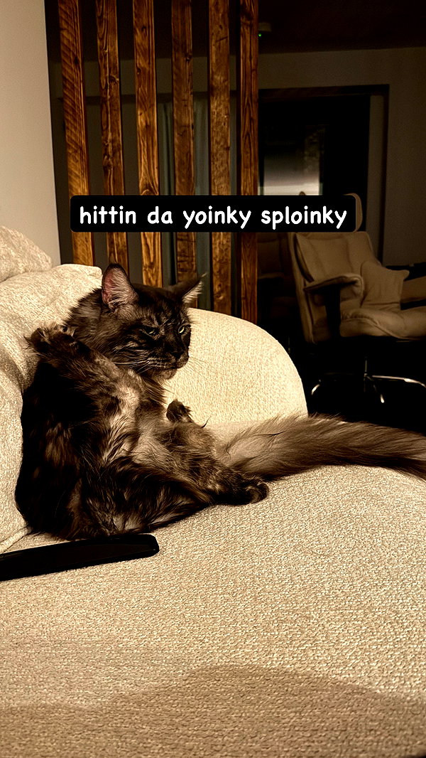 runabyt3 instagram image archive image