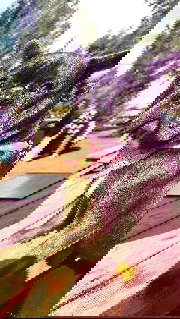 mishel_llll mishel_llll archive image