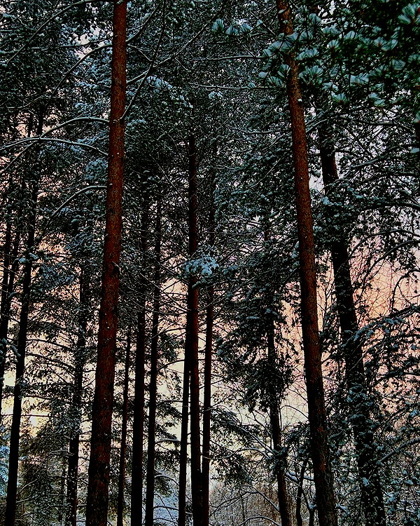 efimkovsskaya instagram image archive image