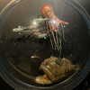 nishymoon_ Altpins Profile Picture