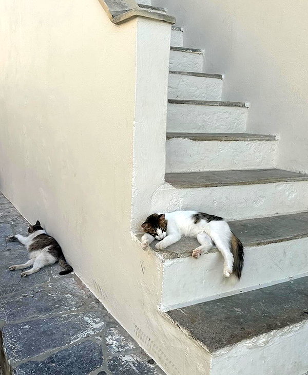 staskaranikolaou instagram image archive image