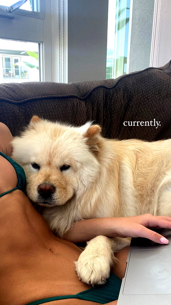 chloerosenbaum instagram image archive image