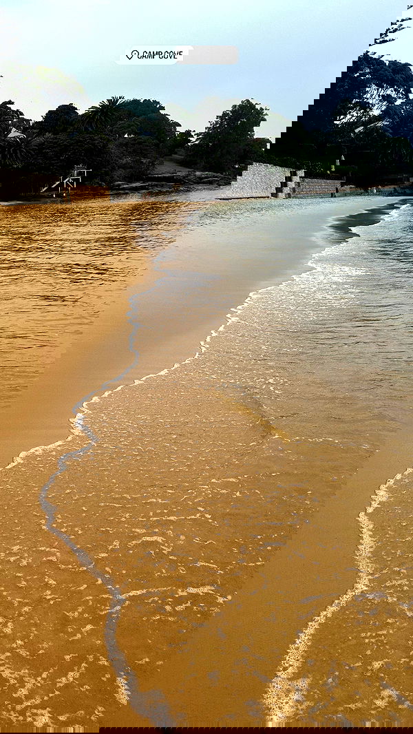 taylor.creeden taylor.creeden archive image