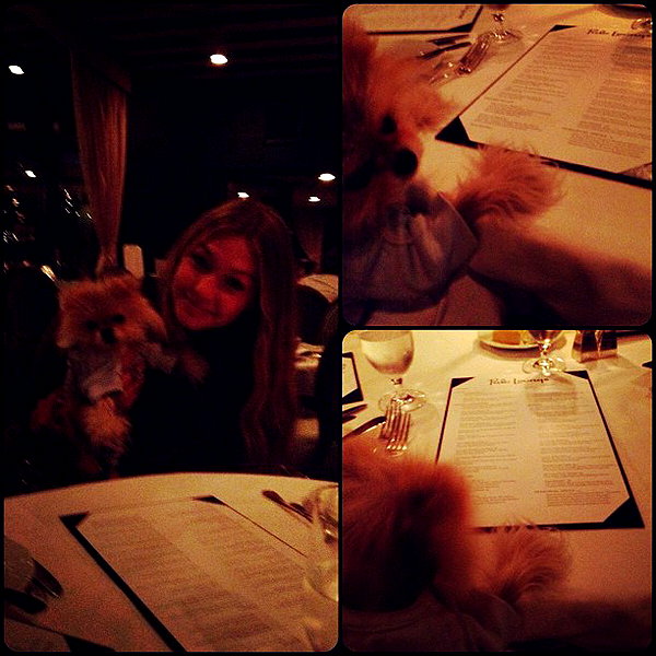 gigihadid instagram image archive image