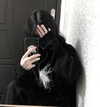 menorixqq Altpins Profile Picture