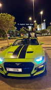 nicole.shpo Altpins Profile Picture