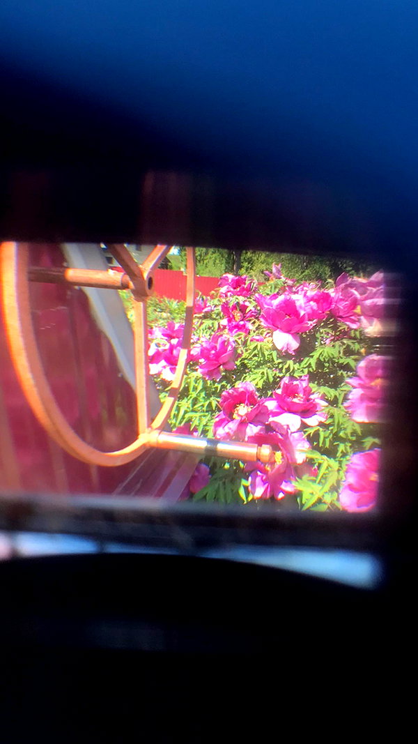 alisen.mari instagram image archive image