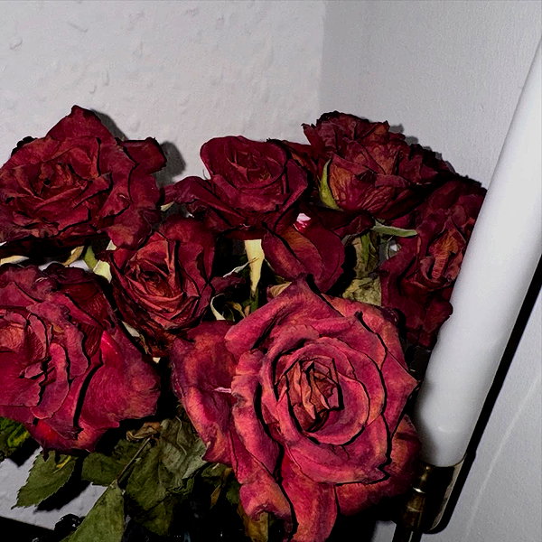 amberxswain instagram image archive image