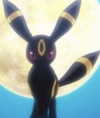 fungusfr0g Altpins Profile Picture