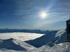 daisy_r_19 Altpins Profile Picture