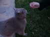 kimberr_0000 Altpins Profile Picture