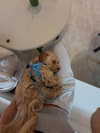 sophiecharlotth Altpins Profile Picture