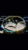 __qq16 Altpins Profile Picture