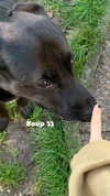 _urbaneva Altpins Profile Picture