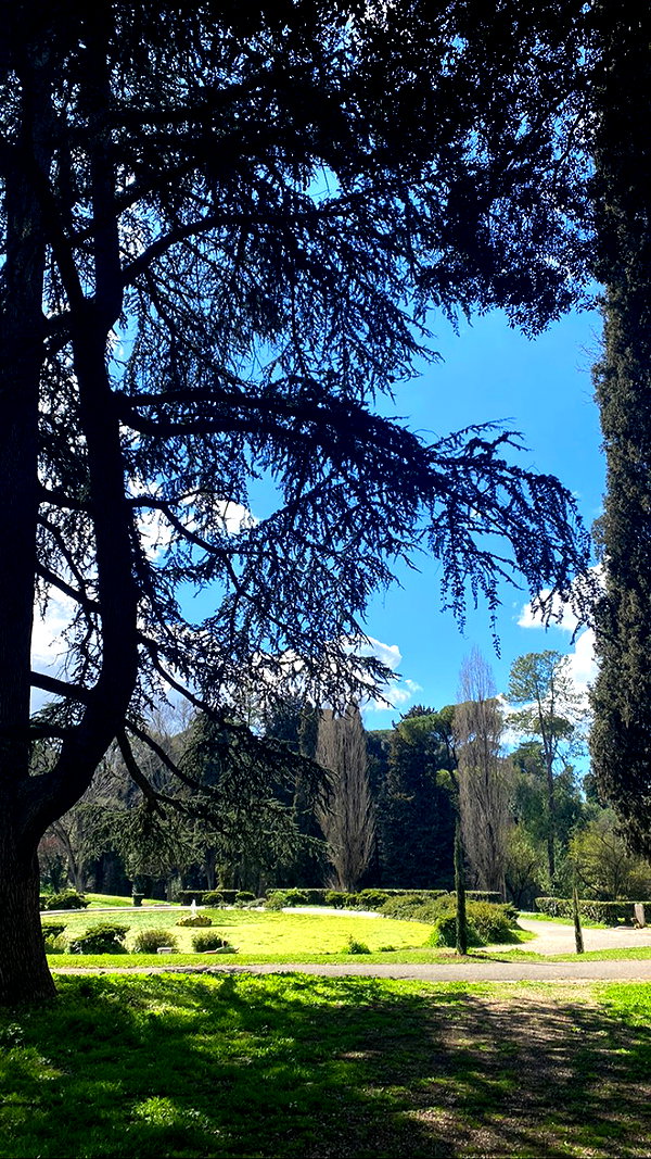federica.piccinni instagram image archive image