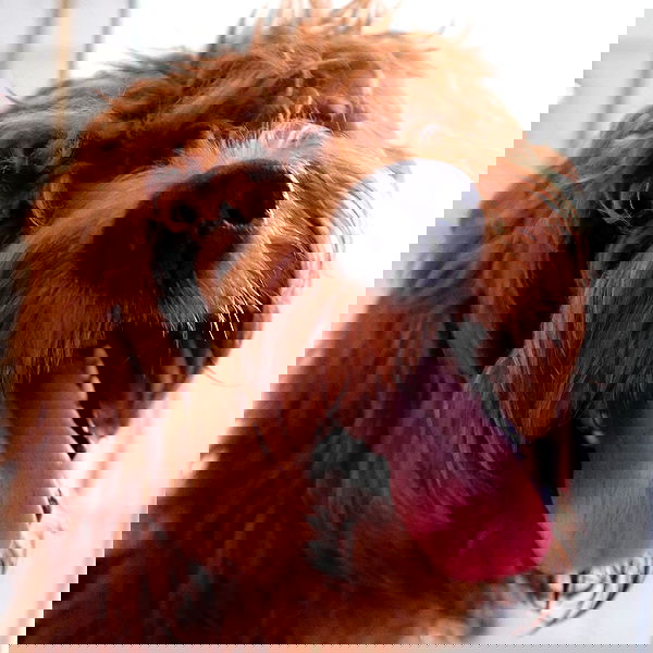 missnyxdawn missnyxdawn archive image