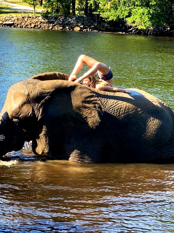 ellianawalmsley instagram image archive image