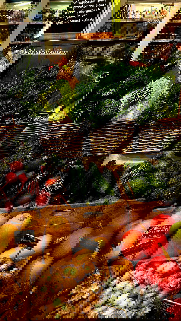 taylor.creeden taylor.creeden archive image