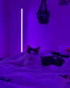 loneliestangelgirl Altpins Profile Picture