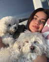 lucyhale Altpins Profile Picture