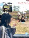 ____sy.02 Altpins Profile Picture