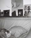 milena_milachich Altpins Profile Picture