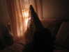macaroni_naomi Altpins Profile Picture