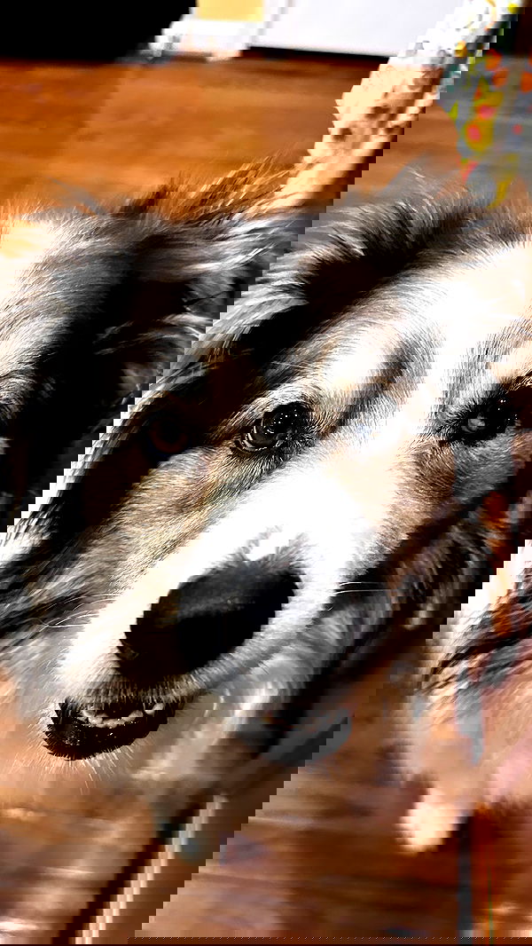 taylor.creeden taylor.creeden archive image