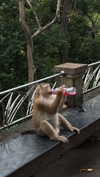 gritsa.k Altpins Profile Picture