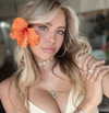 surfsterre Altpins Profile Picture