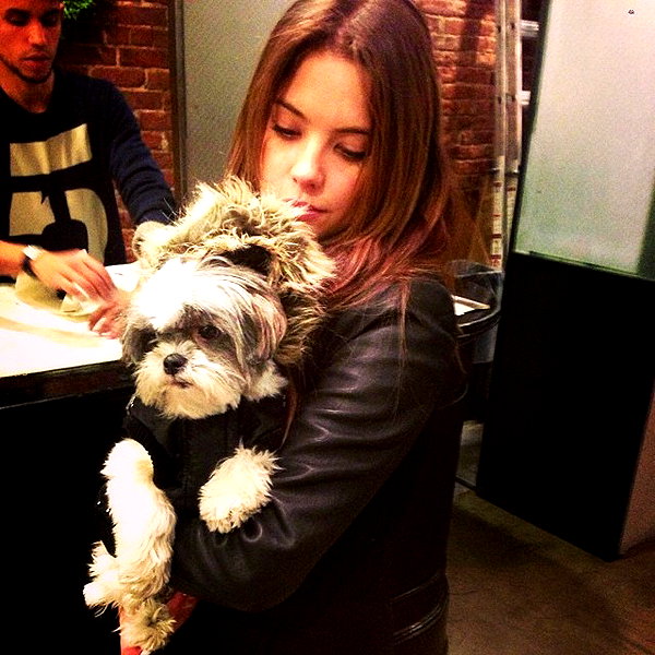 ashleybenson instagram image archive image