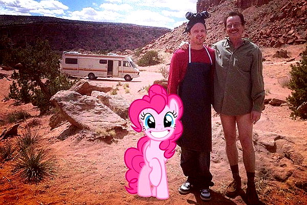 dwpolin instagram image archive image
