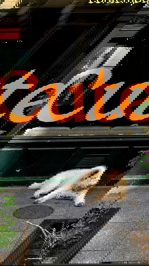 manjolamuriqi manjolamuriqi archive image