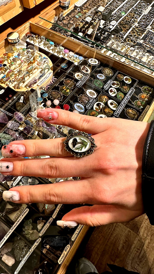 avestanova instagram image archive image