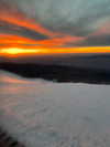 yahel_tubul Altpins Profile Picture