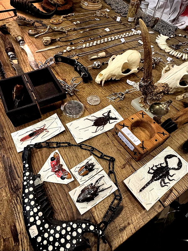 amberxswain instagram image archive image