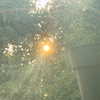 haileylayfield Altpins Profile Picture