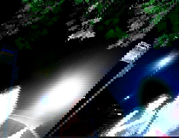 kitty.elliss kitty.elliss archive image