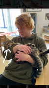 maycohen8 Altpins Profile Picture